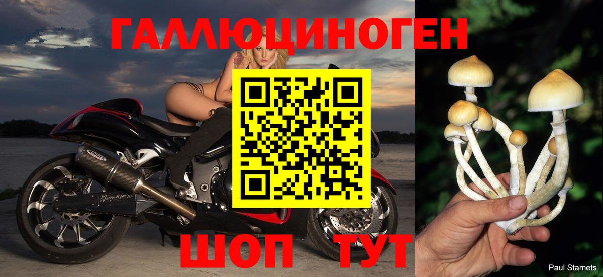 Псилоцибиновые грибы Magic Shrooms Кинель